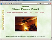 09_web-site.jpg